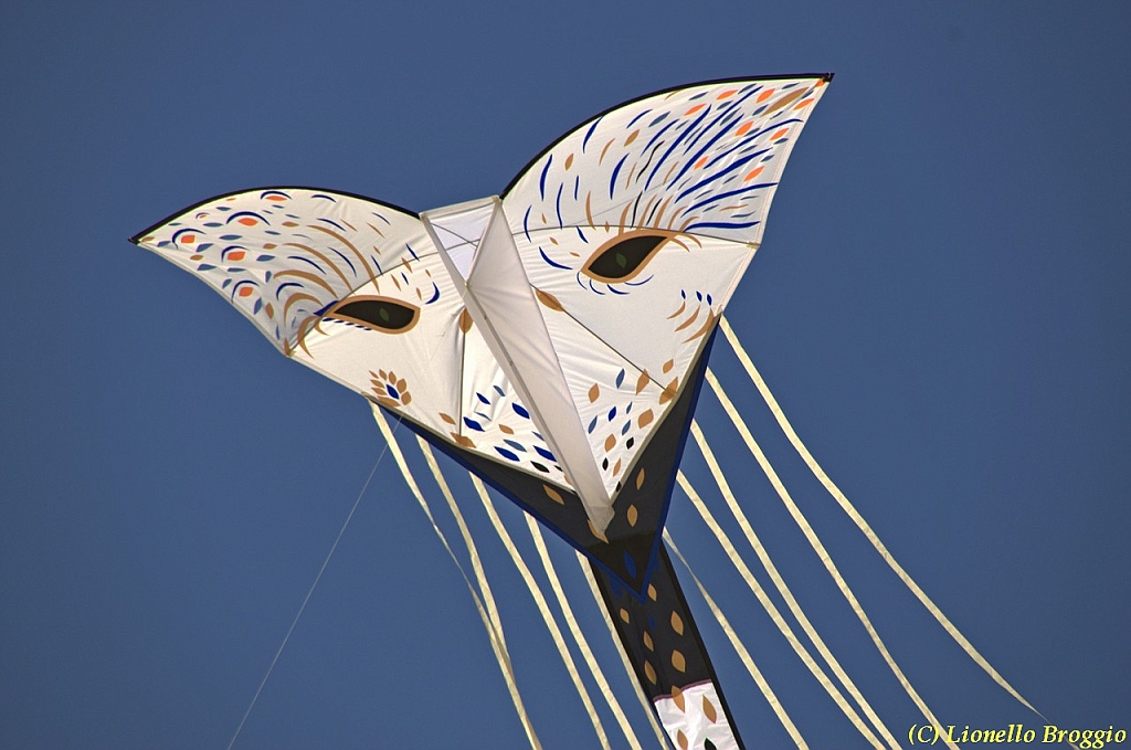 32 FESTIVAL CERVIA 2012 - 233.jpg